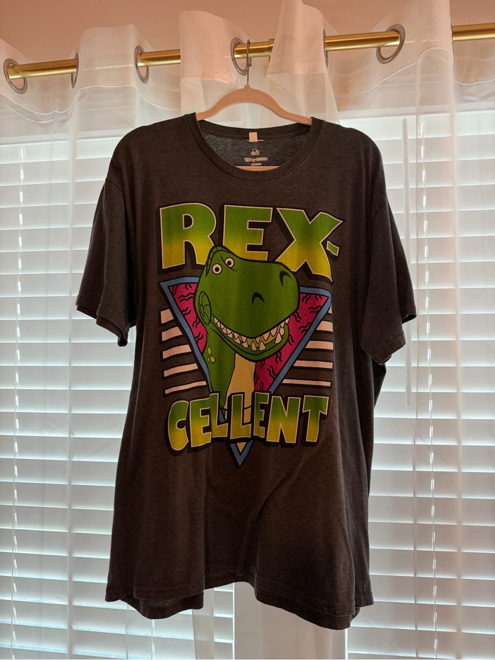 Disney "Rex-cellent" Charcoal Graphic T-Shirt